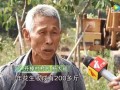 湛江最新农民爆料,揭秘湛江乡村发展新动态
