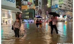 深圳新暴雨爆料最新消息,城区内涝严重，交通受阻紧急应对中